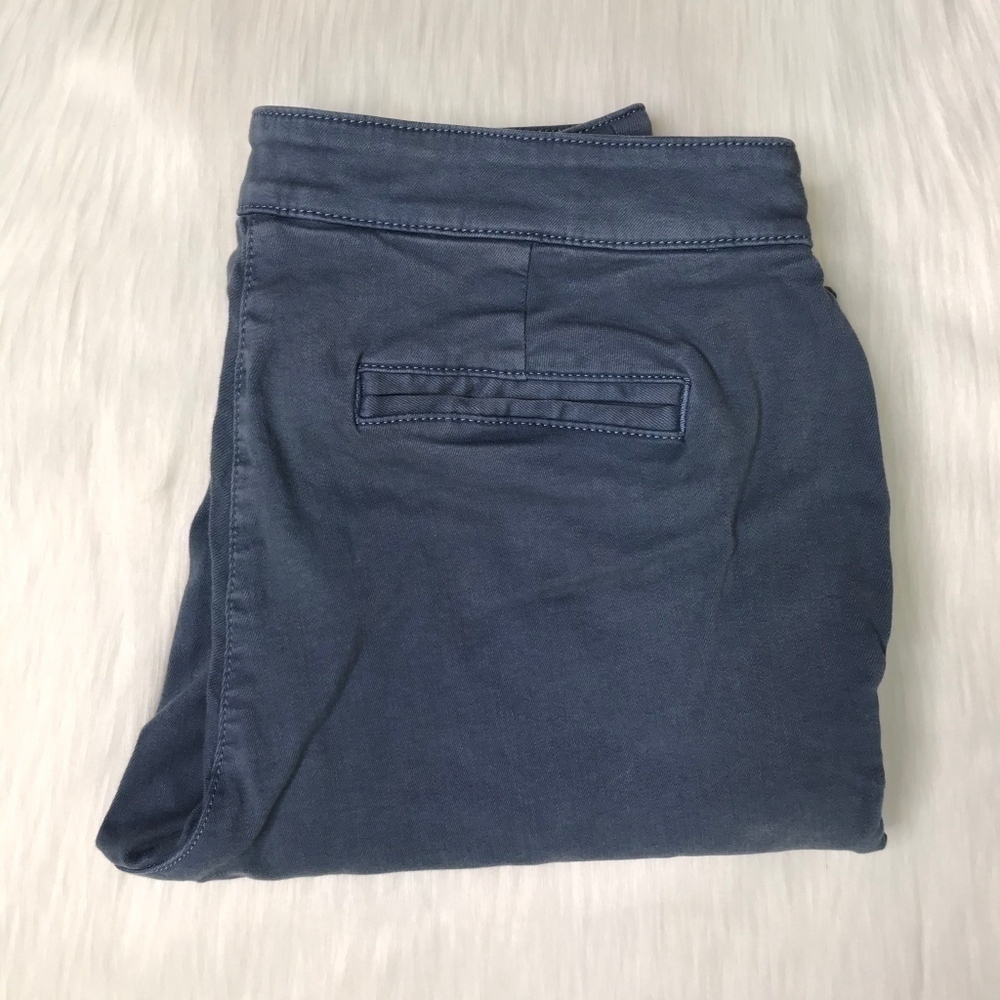 NWT Daniel Cremieux heritage ankle pants size 2 - Picture 2 of 4